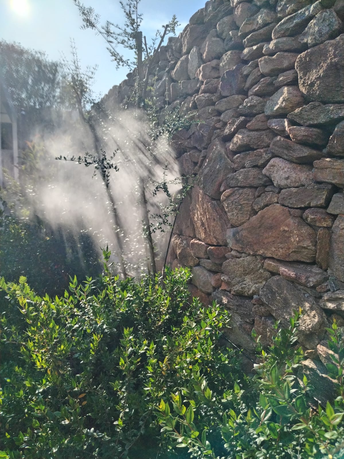 Sistema di disinfestazione automatica in funzione