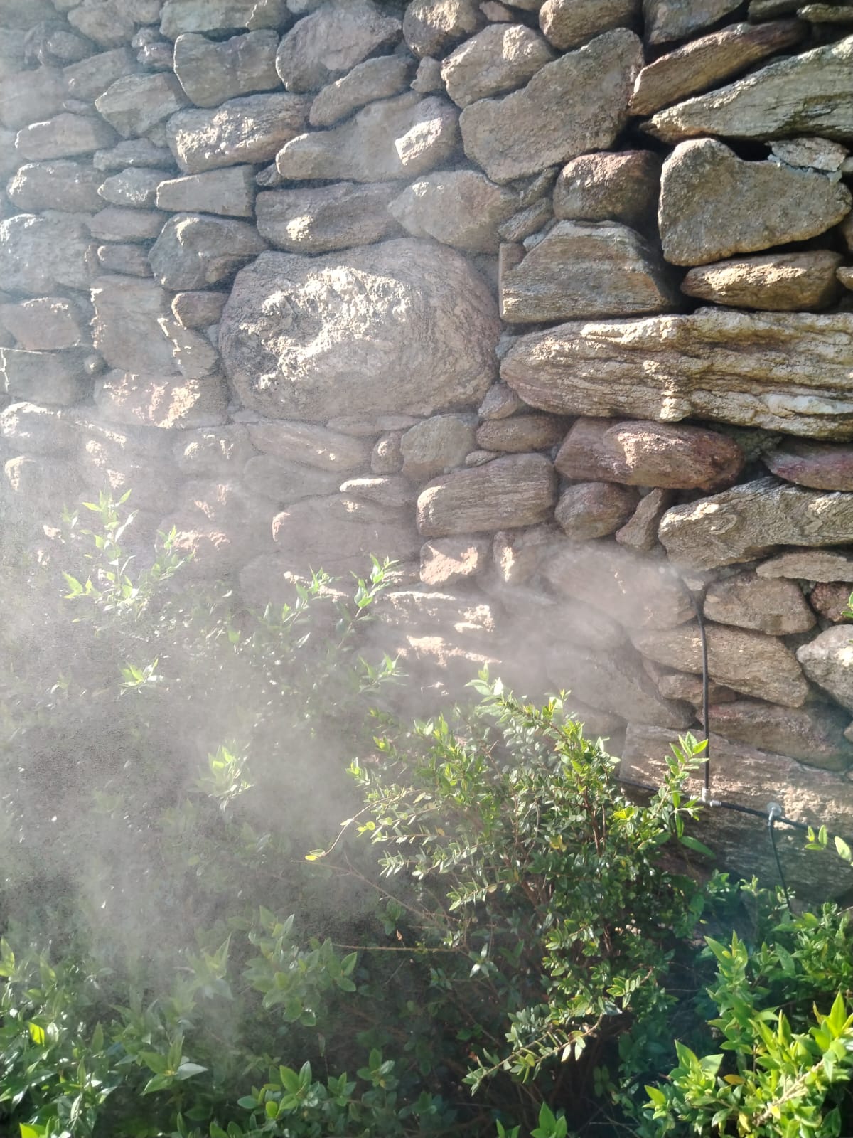 Nebulizzatore automatico installato in giardino