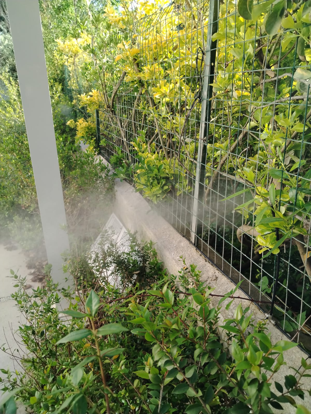 Dettaglio impianto di disinfestazione automatizzata