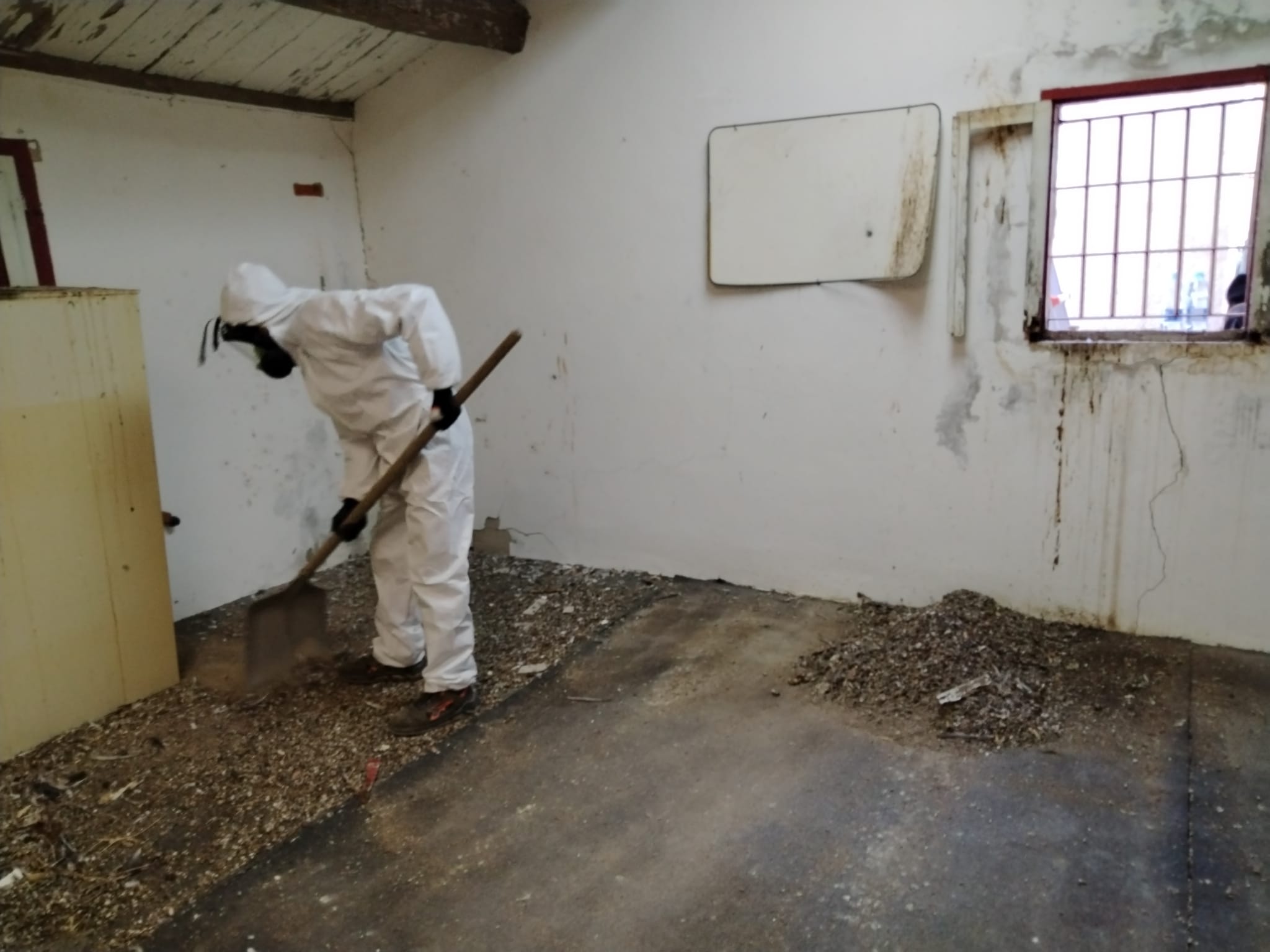 Rete di protezione antivolatili su tetto