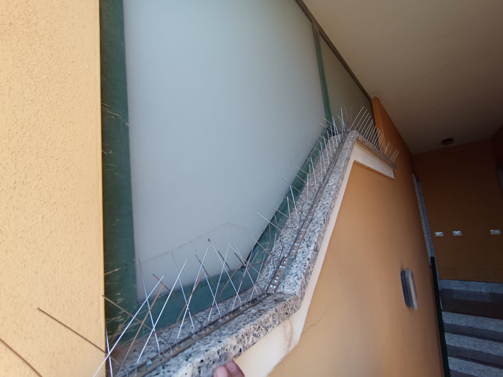 Sistema antipiccione installato su cornicione