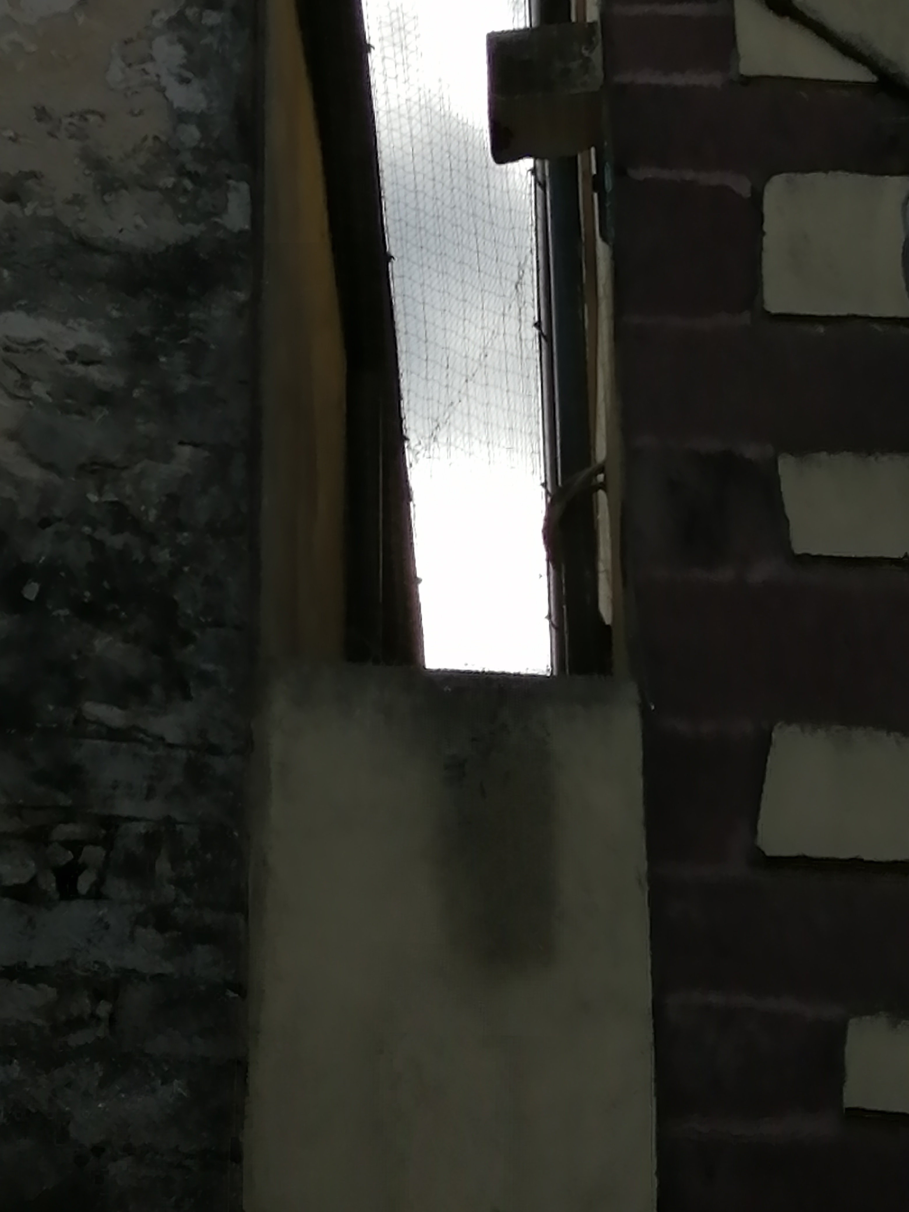 Installazione barriera antivolatili su edificio