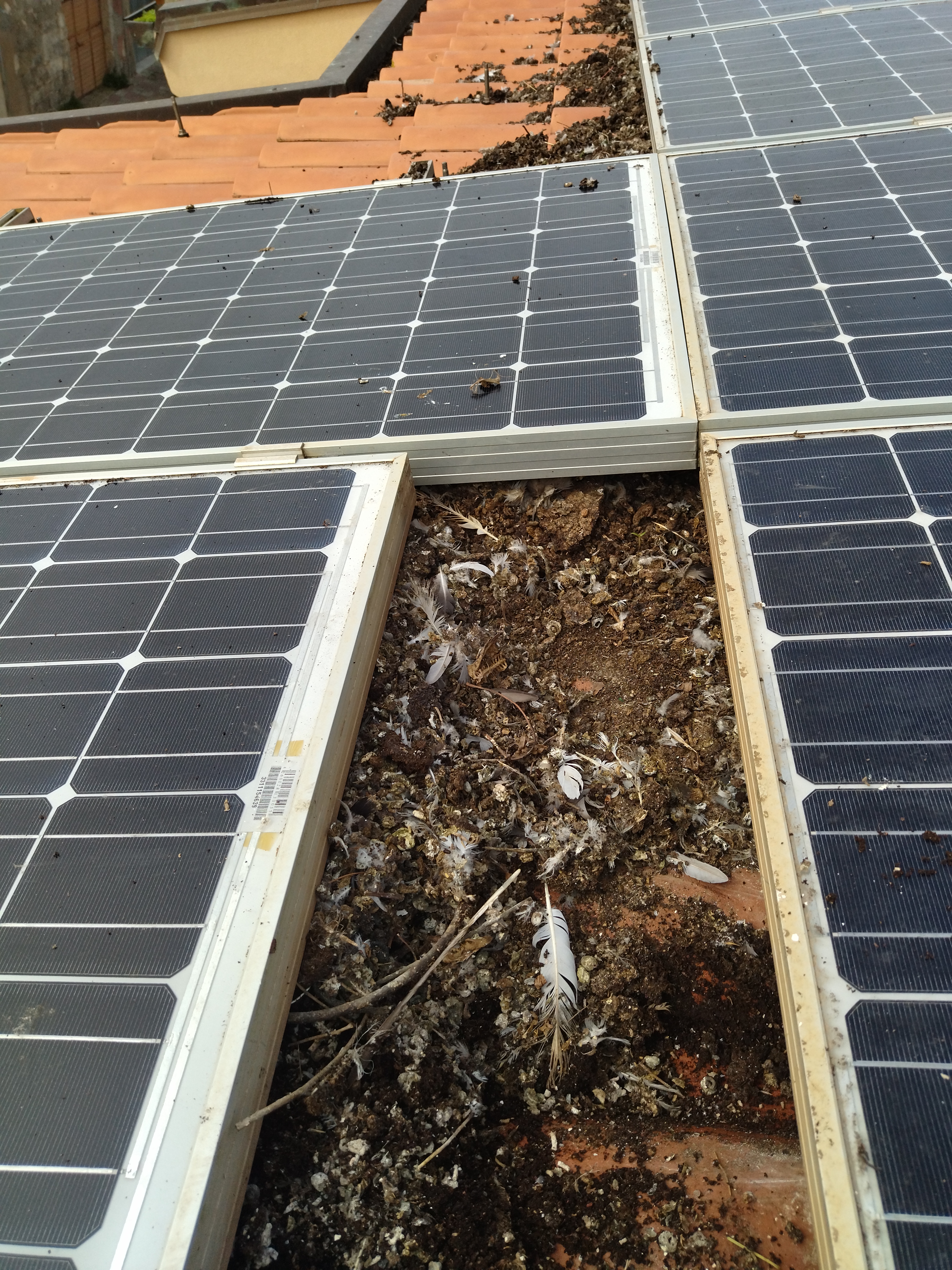 Rete antipiccione su copertura edificio commerciale