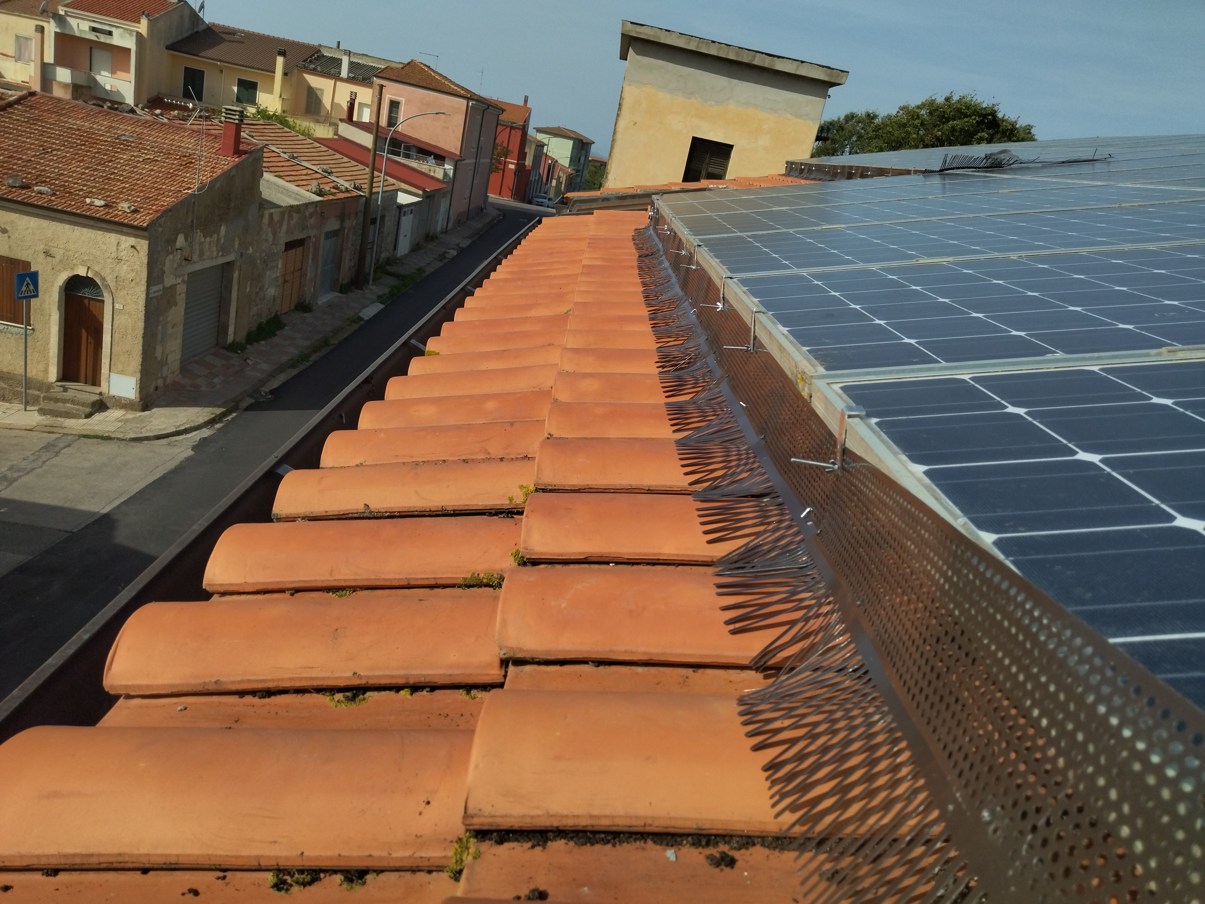 Protezione antivolatili su facciata