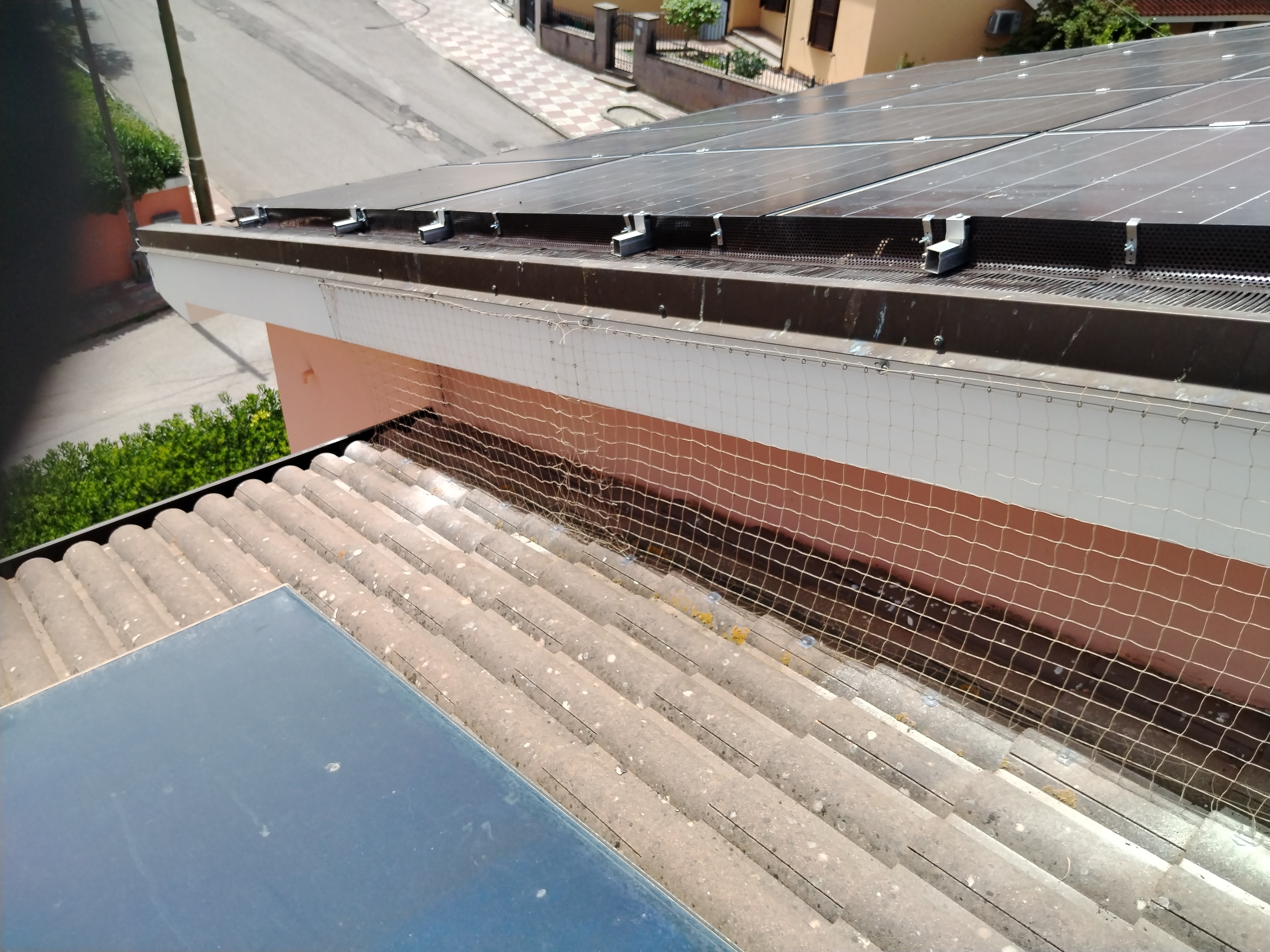 Intervento allontanamento volatili su tetto