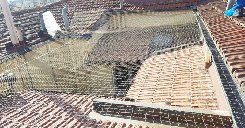 Sistema completo di protezione antivolatili su copertura